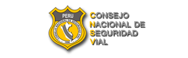 Cnsv-01